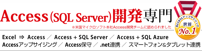 Access開発専門