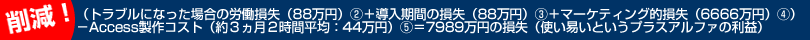 （トラブルになった場合の労働損失（88万円）②＋導入期間の損失（88万円）③＋マーケティング的損失（6666万円）④）－Access製作コスト（約３ヵ月２時間平均：44万円）⑤＝7989万円の損失（使い易いというプラスアルファの利益）
