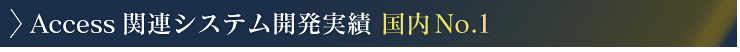 Access関連システム開発実績 国内No.1