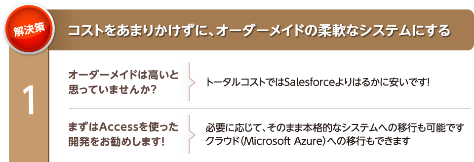 コストをあまりかけずに、オーダーメイドの柔軟なシステムにする