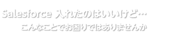 Salesforce入れたのはいいけど…　こんなことでお困りではありませんか