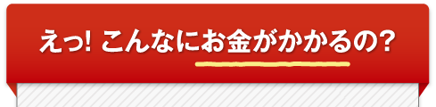 えっ！こんなにお金がかかるの？